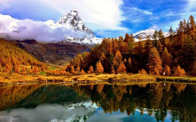 高性能绿色智慧工厂